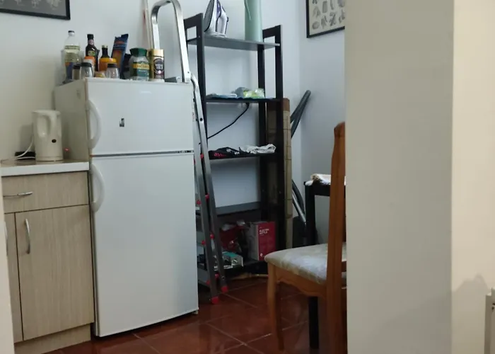 Quiet Center Oasis - In The Shade Of Walnut * Belgrado